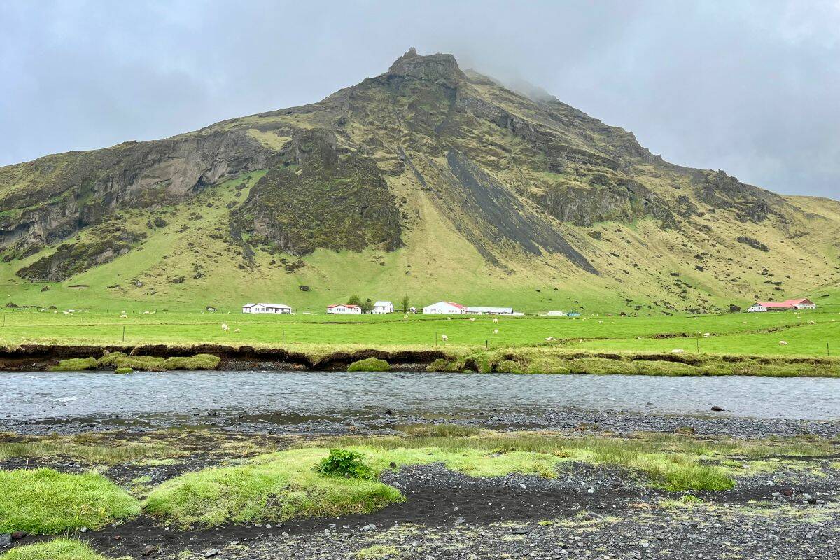Farms in Hvolsvollur. (Tess van Straaten)