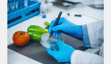 France to block fruit imports with banned pesticide residues