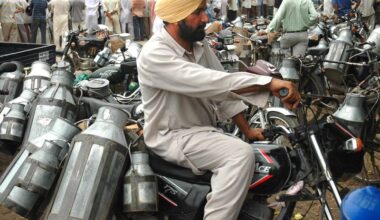 Punjab’s economy is leaking from within