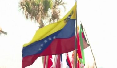 Political turmoil in Venezuela prompts concerns among US migrants about asylum, deportation