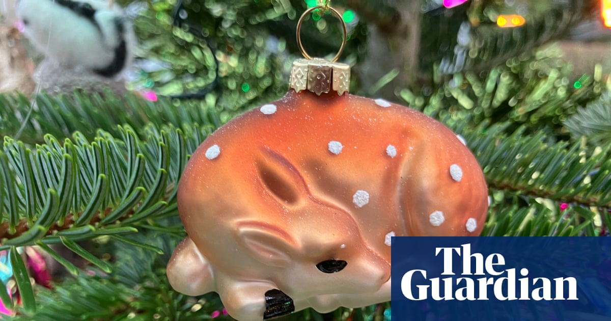 Country diary: Twelfth night tugs at the heart, but these decorations must come down | Trees and forests