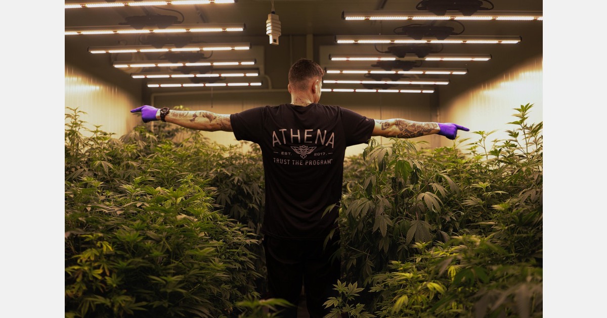 Cannabis social club opens its doors as Malta’s market takes shape