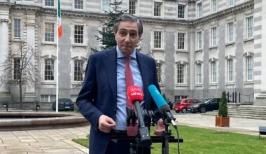 Explainer: what is the Mercosur deal, and is there anything good in it for Ireland?