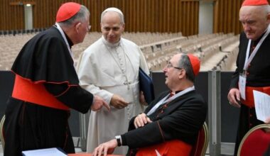 Another Consistory in June; We will hold one every year