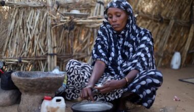 One thousand days of conflict in Sudan: A devastating humanitarian crisis