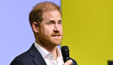Prince Harry security review remains unfinished despite ‘counter-productive’ speculation