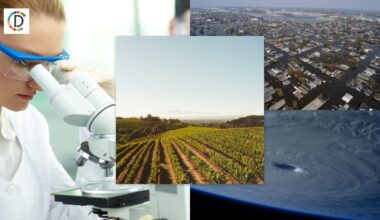 Rethinking Rover's Bowl: The Environmental Impact of Dog Food