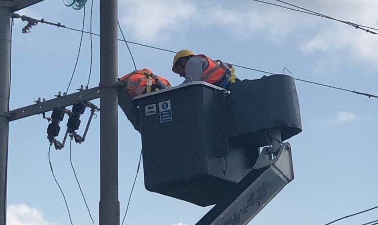 Green Party welcomes 'overdue investment' in Malta’s electricity distribution network