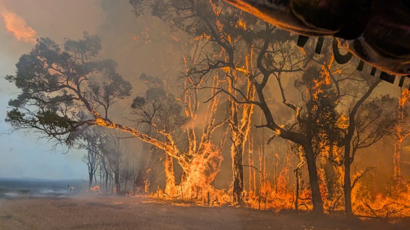 Alexandra town centre saved in bittersweet victory for fire crews