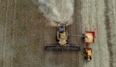 Brazil, the agricultural superpower that feeds the world