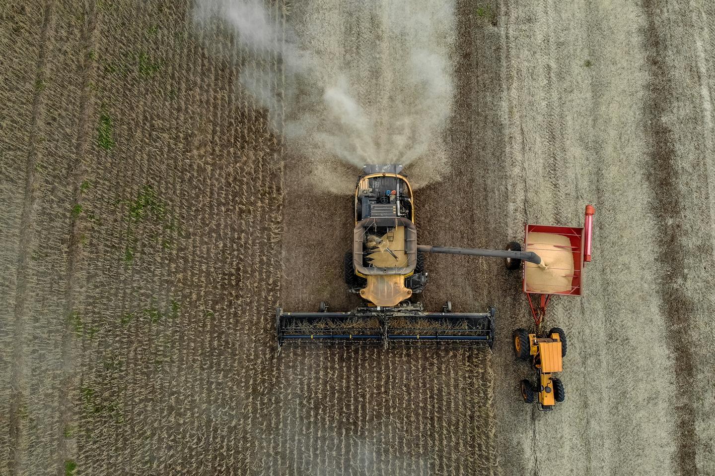 Brazil, the agricultural superpower that feeds the world