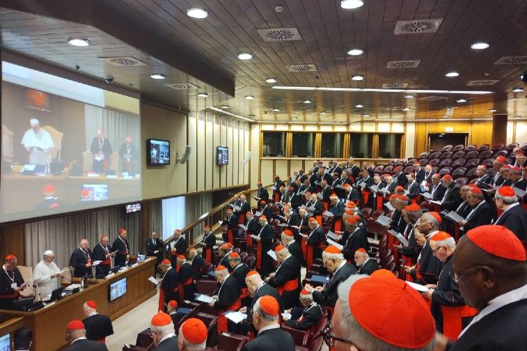 Tokyo cardinal says Pope Leo XIV prioritizes listening, synodality in governance