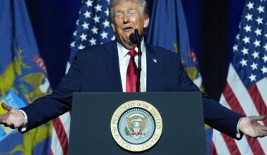 No widespread evidence of migrant voting fraud despite Trump’s claims, review finds