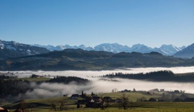 Loss of biodiversity in Switzerland slows but still worrying