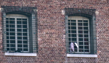 Returns of illegal migrant prisoners rise by a quarter