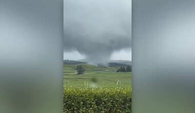 Small tornado touches down in Waikato farmland