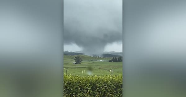 Small tornado touches down in Waikato farmland