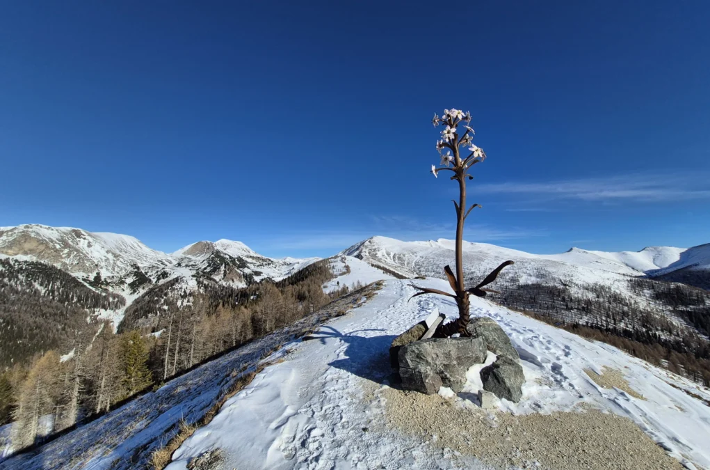 Ein Bild auf 5min.at zeigt den winterlichen Ausblick auf die Berglandschaft rund um den Stonachnock in St. Oswald. Der Himmel ist strahlend blau.