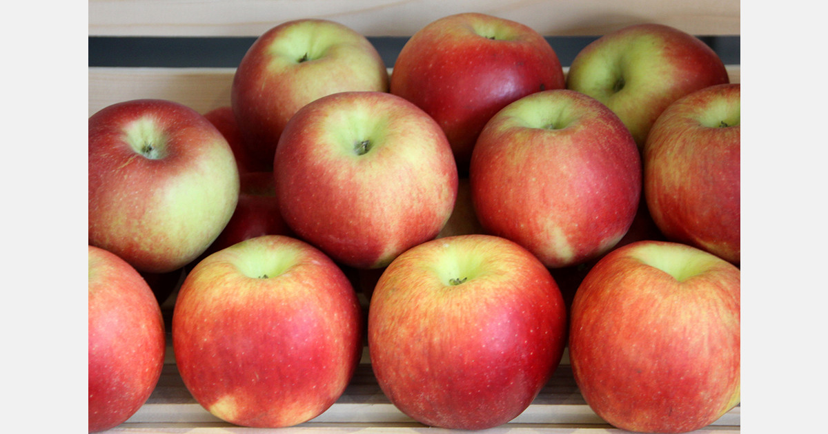 Moldovan fruit exports to the EU face disruptions due to delayed 2026 quotas