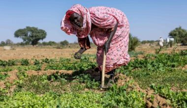 IFAD President: Agriculture can be a tool for peace and hope