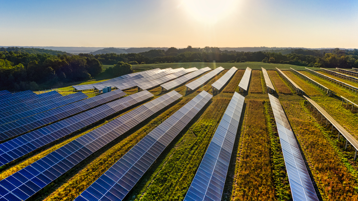 EU Solar Generation Hits Record Levels in Q2 2025 Amid Stabilising Gas and Electricity Markets
