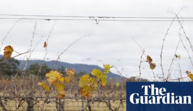 Filipino migrant worker’s death in NSW referred to federal police | New South Wales