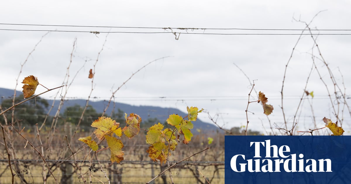 Filipino migrant worker’s death in NSW referred to federal police | New South Wales