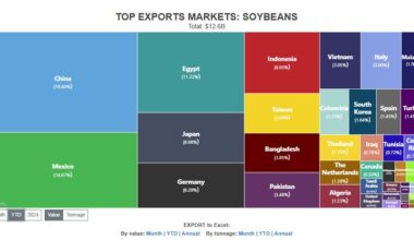 China Purchased No U.S. Soybeans An Unprecented Sixth Straight Month
