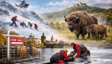 Czechia’s 2026 tourism explosion: avalanches, bison reserves, and a property boom that will blow your mind!
