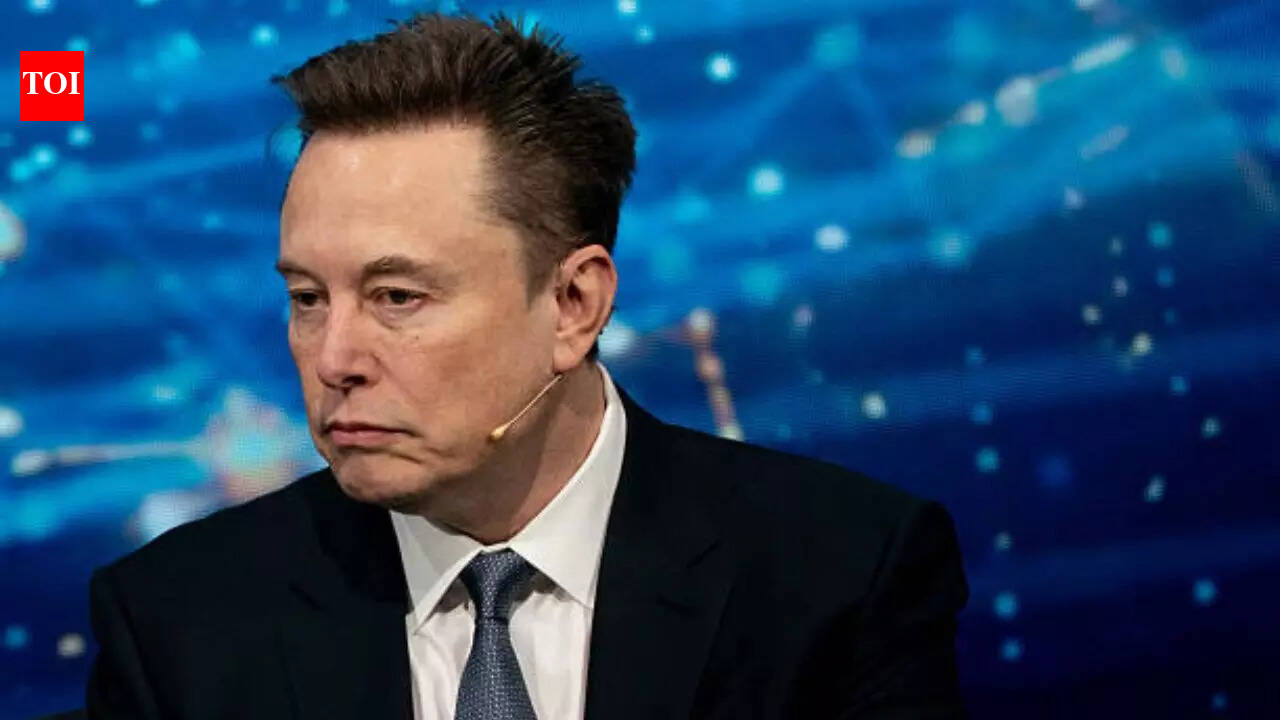 Elon Musk says ‘immortality can be yours’ as Grokipedia 'has a plan' to make you exist in the Universe forever |