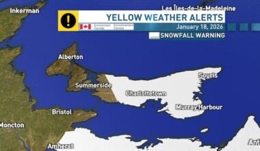 Snowfall warnings in effect for central, eastern P.E.I.