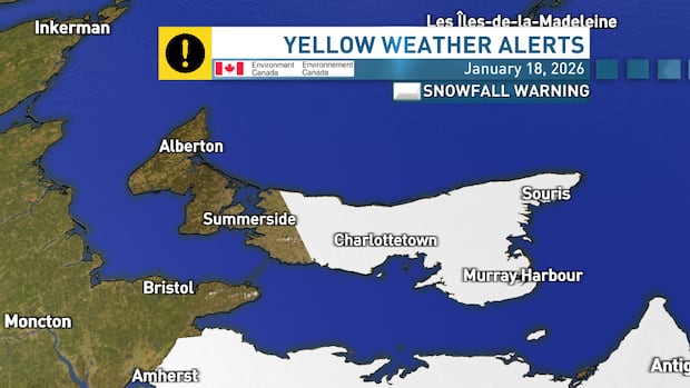 Snowfall warnings in effect for central, eastern P.E.I.