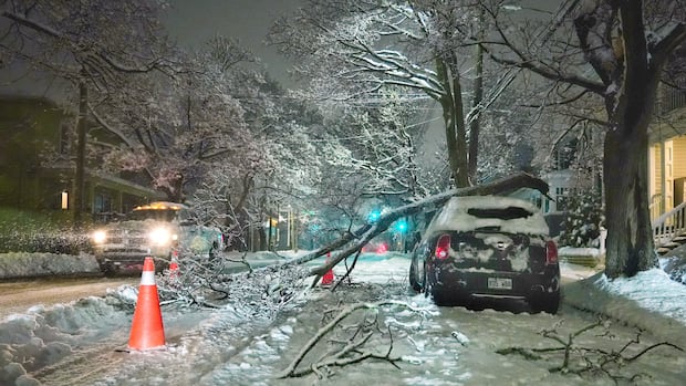 Thousands without power, schools closed as winter storm hits N.S.