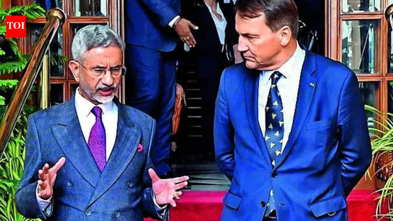 As Poland courts Pakistan, India advises zero tolerance for terror | India News