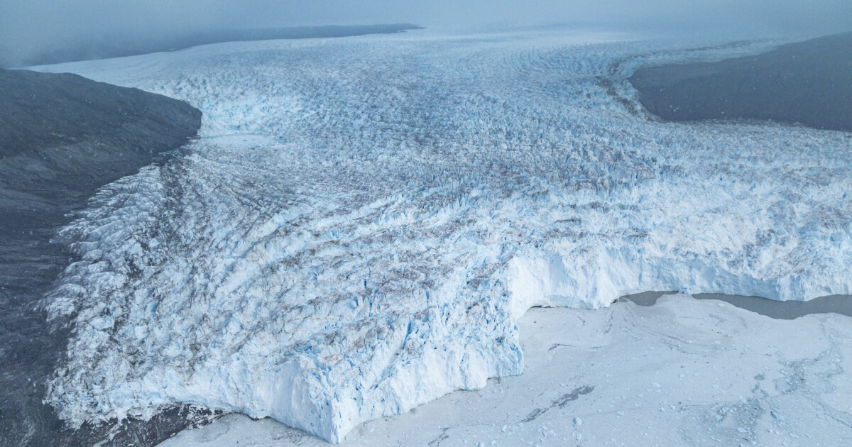 How the climate crisis is shaping politics and the economy • Table.Briefings