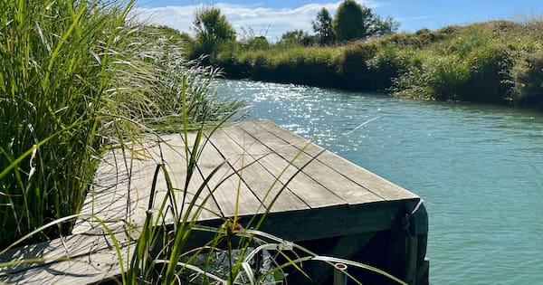 Whitebait stand takedown orders spark concern from casual users