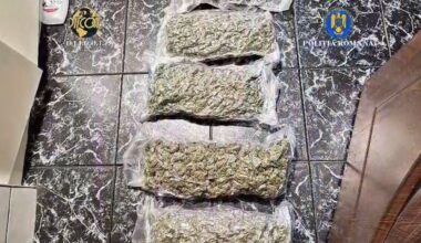 Rețea de traficanți de droguri, destructurată de DIICOT Brașov