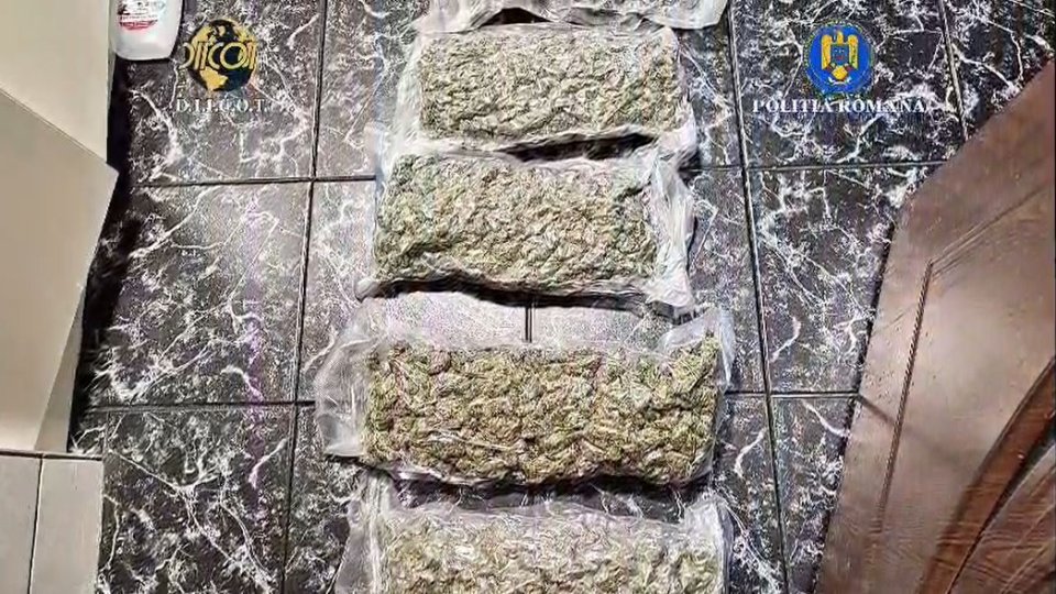 Rețea de traficanți de droguri, destructurată de DIICOT Brașov