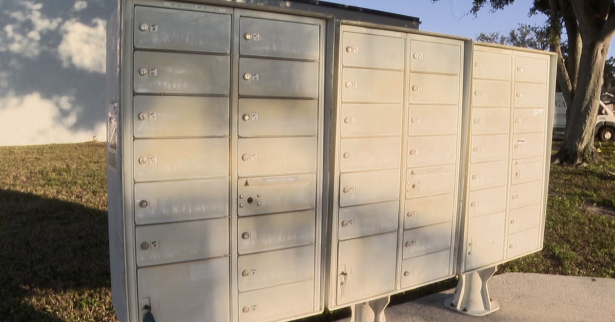 Pinellas Park business owner says he had check stolen from mail, caught it before he lost money