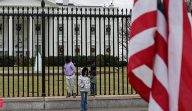 ‘Embrace the penguin’: How a White House posted meme went viral, triggered backlash, and got it wrong