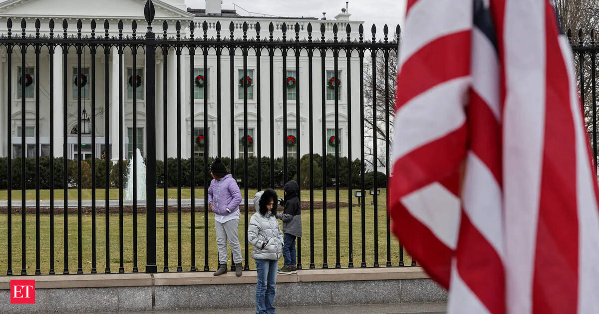 ‘Embrace the penguin’: How a White House posted meme went viral, triggered backlash, and got it wrong