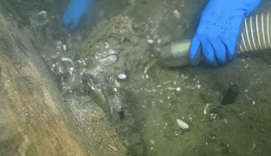 Archaeologist excavating ship site