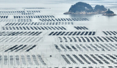 Fujian provincial government pursues rapprochement strategy • Table.Briefings