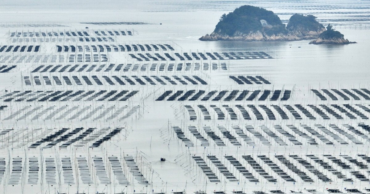 Fujian provincial government pursues rapprochement strategy • Table.Briefings