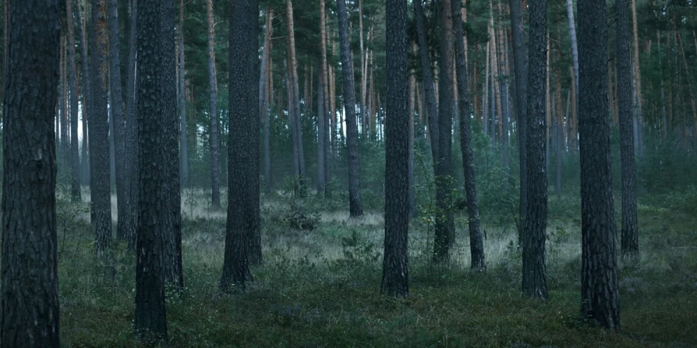 15 gadus vecās Olgas dzīvi aprāva klasesbiedru pastrādātā slepkavība