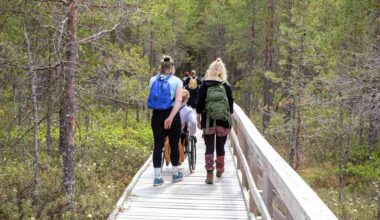 Keski-Suomen kolmen kansallis­puiston kävijä­määrä kasvoi, vaikka muualla suosio laski | Keski-Suomi