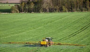 Farmers facing £810m hit from EU SPS deal crop chemical ‘alignment’ | News