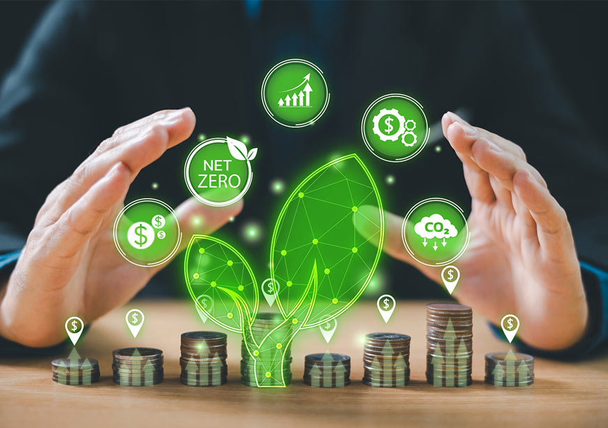 COP30 and the Fragile Architecture of Global Climate Finance