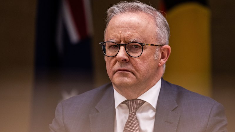 Albanese ends hospital stalemate with $25b deal to move kids off NDIS