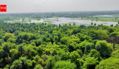 Environment minister Bhupender Yadav announces addition of two new wetlands to Ramsar List, ahead of World Wetlands Day 2026
